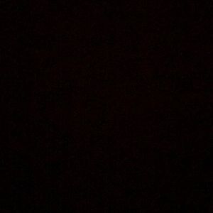 Meet your Posher, Travis